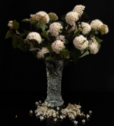 bouquet-di-fiori 37 lista